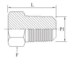 Hex Plug NPT Male